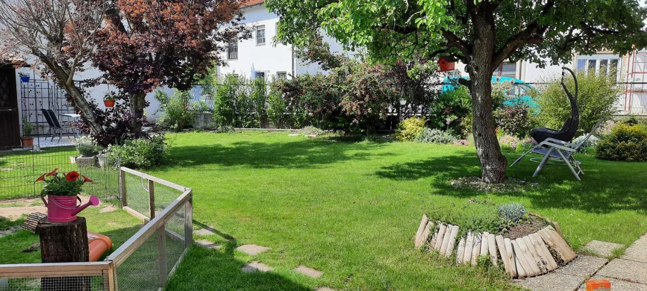 Ferienhaus Lina 네우시에들암시 외부 사진